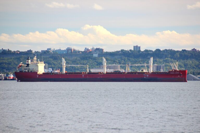 Federal Satsuki in the Port of Hamilton