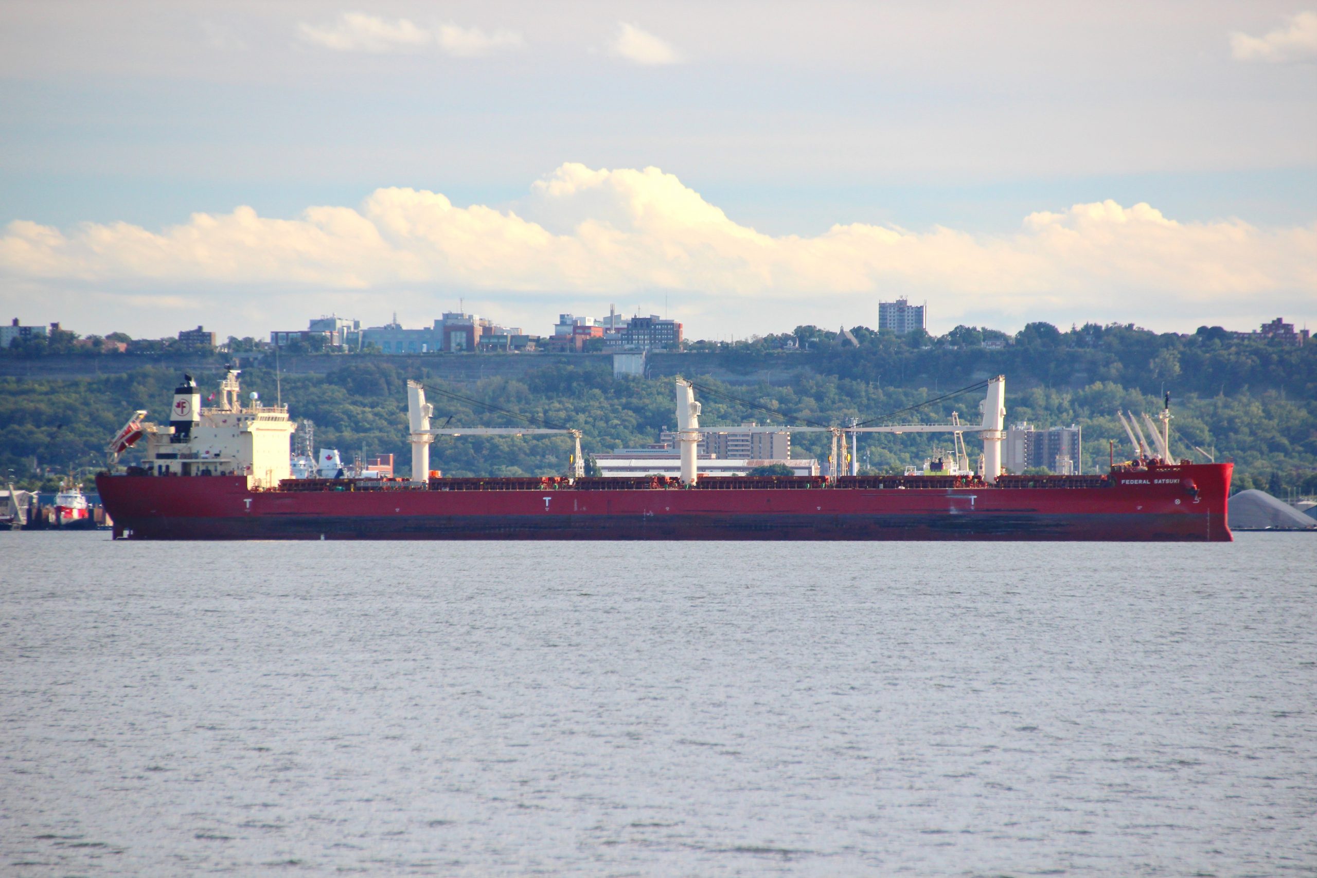 Federal Satsuki in the Port of Hamilton